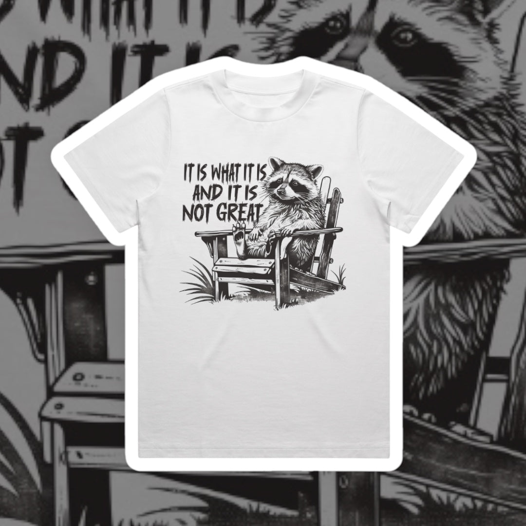 IT IS WHAT IT IS AND IT IS NOT GREAT GRAPHIC TEE