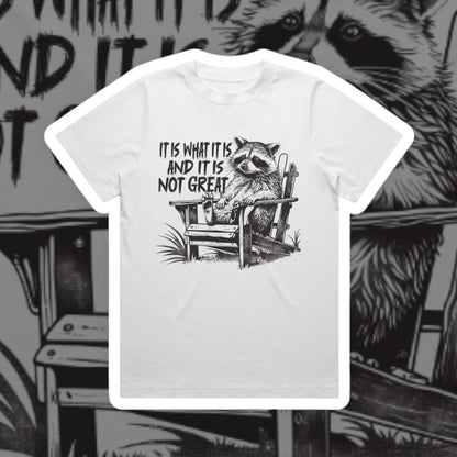 IT IS WHAT IT IS AND IT IS NOT GREAT GRAPHIC TEE